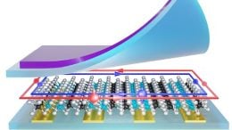 Dual Quantum Spin Hall Insulator